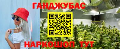 хмурый Аша