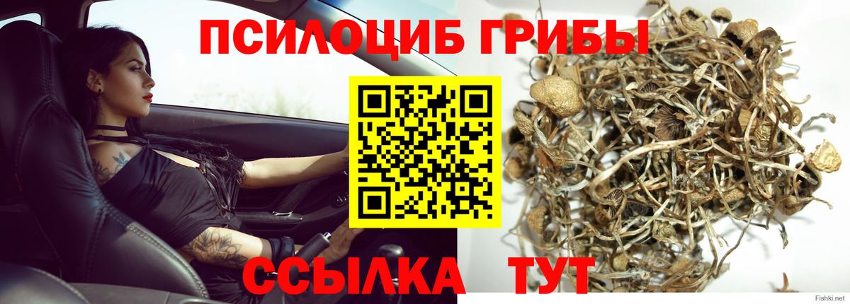 Галлюциногенные грибы мухоморы Ногинск